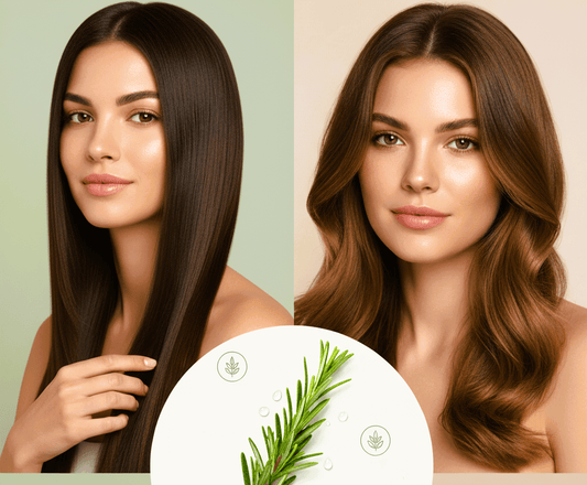 mitos y verdades del romero